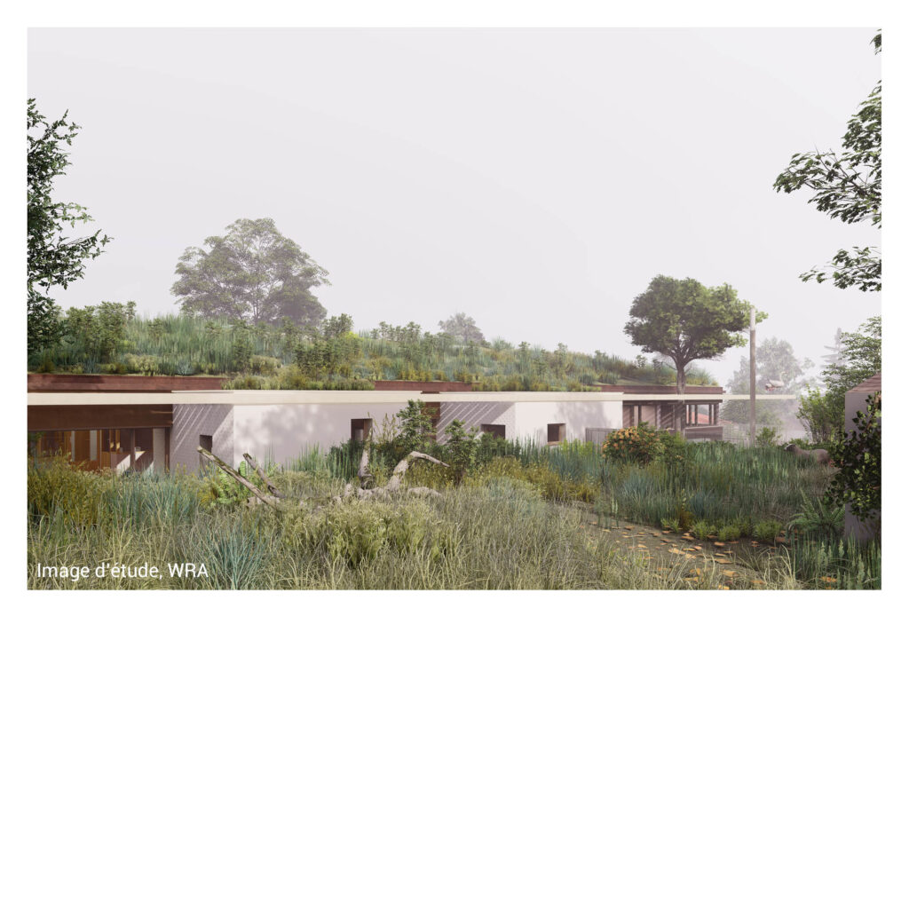 Le terrain est en pente, les voisins voient plus la toiture que la cour (et ça leur convient).