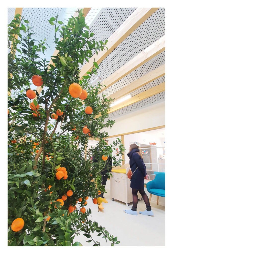 au milieu il y a des mandariniers...