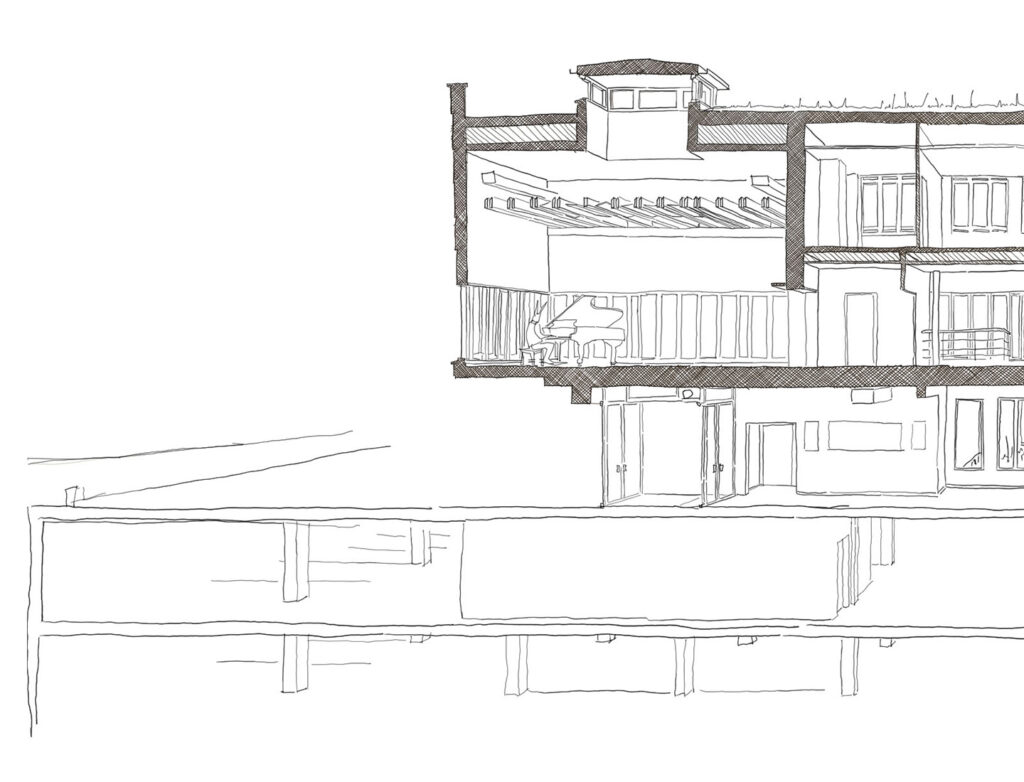 litotes_105_coupe_pers_1