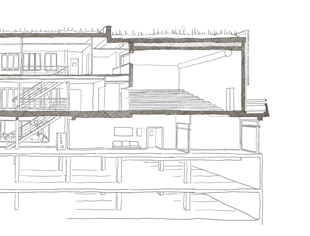 litotes_105_coupe_pers_2