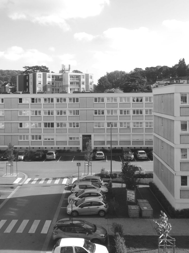 litotes_247_web_existant_noir-blanc