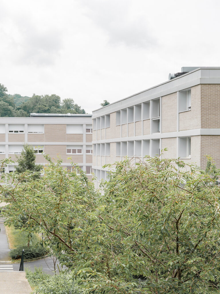 litotes_247_web_n-grosmonds_projet-livré