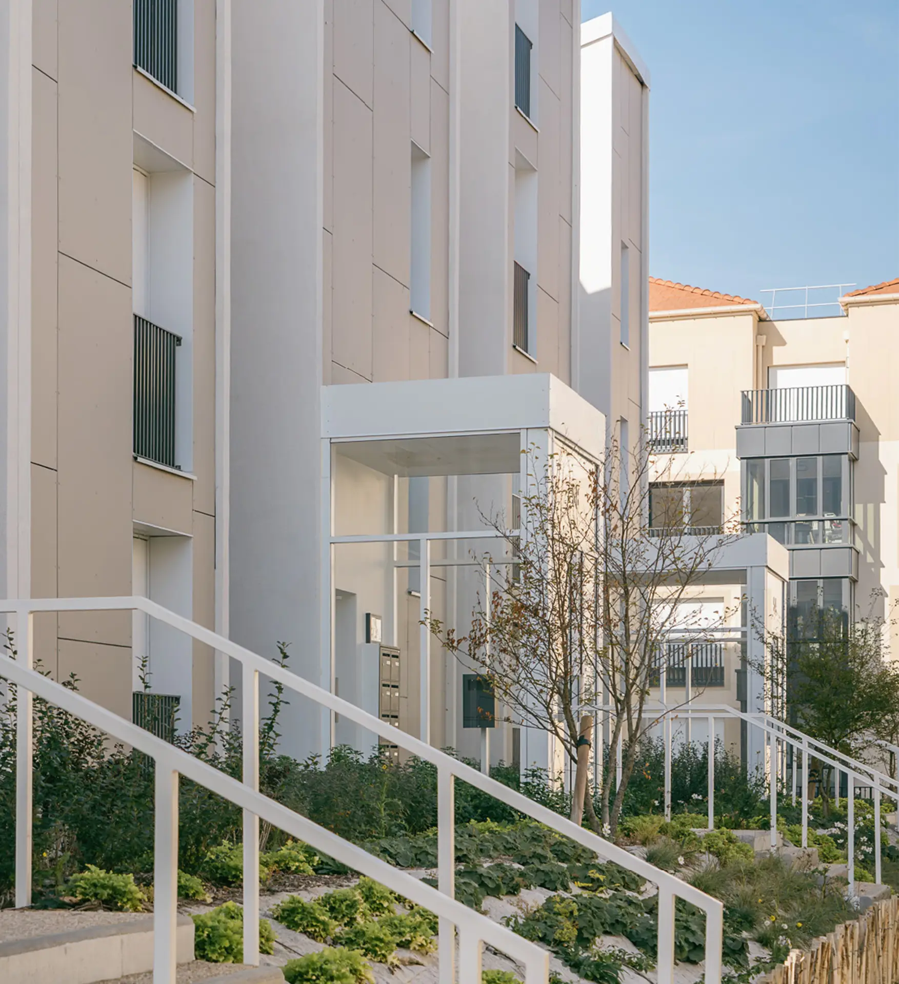 litotes_map_251_extension-site-occupe_conflans-sainte-honorine_paul-brard_les-residences_livraison-2025_nico-grosmond_bat4_entree_veget