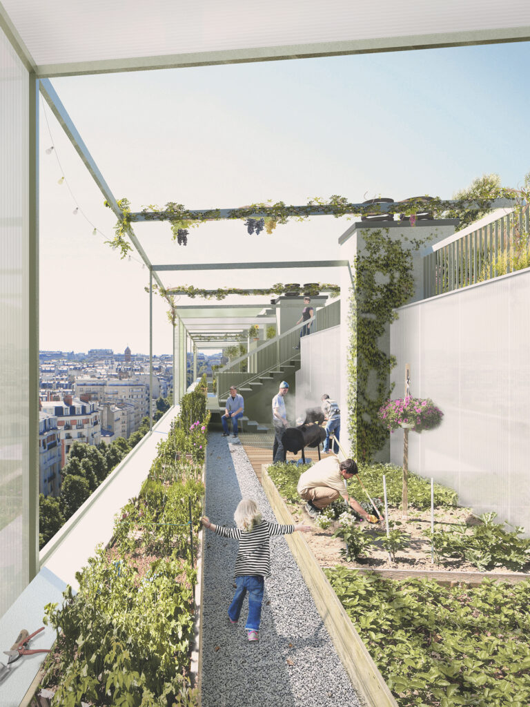 litotes_web_230_pers_toiture_vegetalise