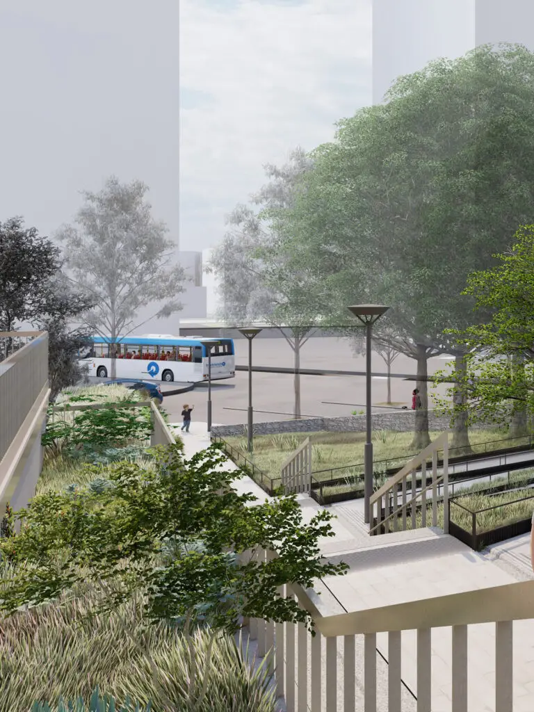 litotes_web_289_vegetation_acces_dalle