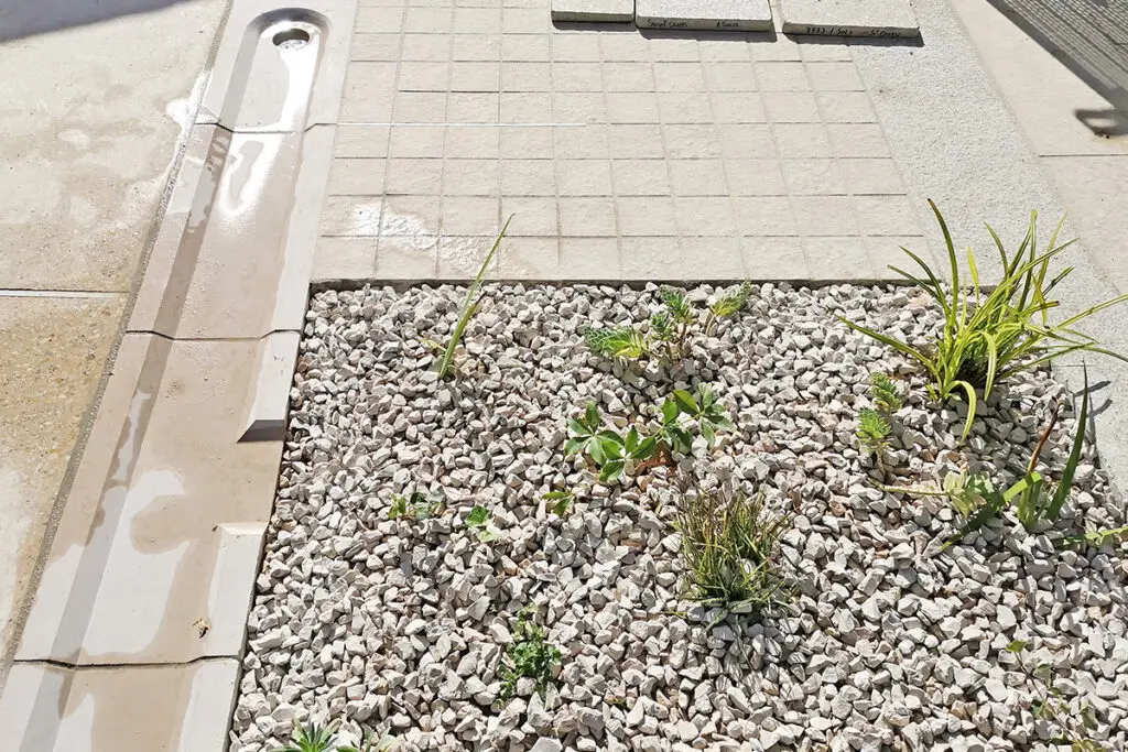 litotes_224_sto_details_ecoulements