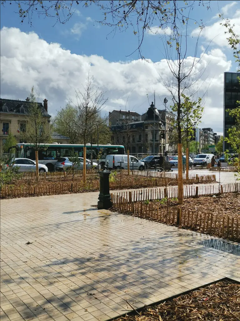 litotes_224_sto_place_lott