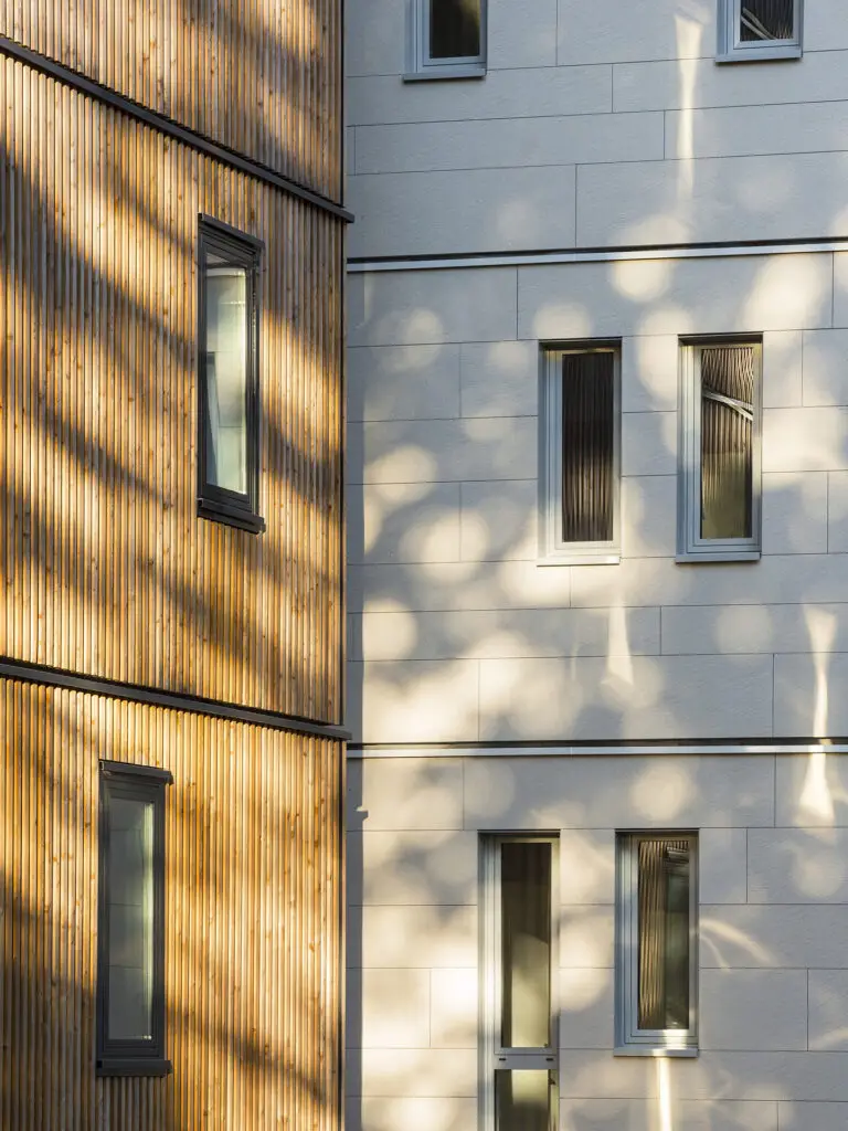 litotes_web_182_la-fresque_facade_clt_bois_pierre-bois