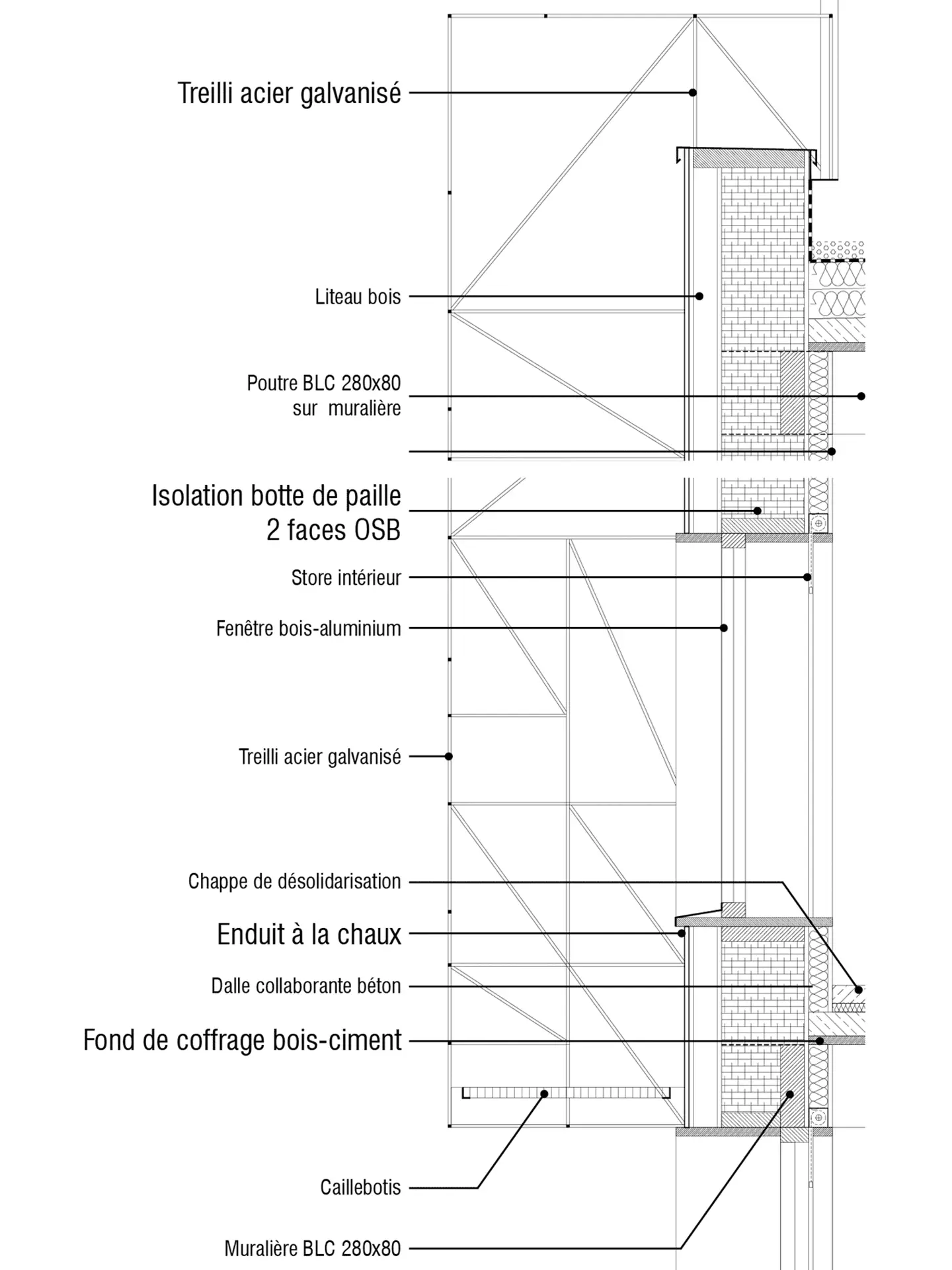 litotes_web_propos_pe_075_detail-tribu